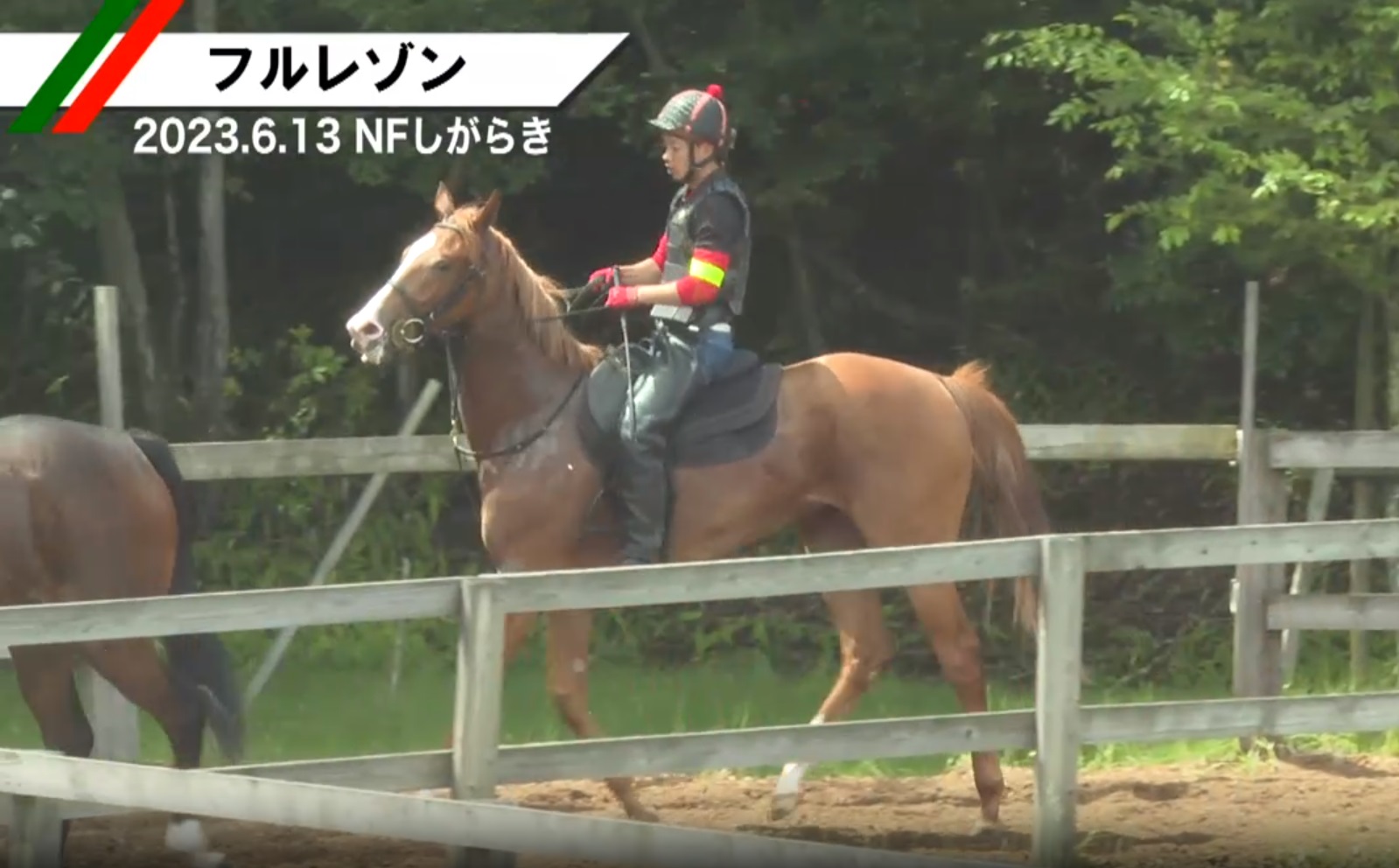 フルレゾン