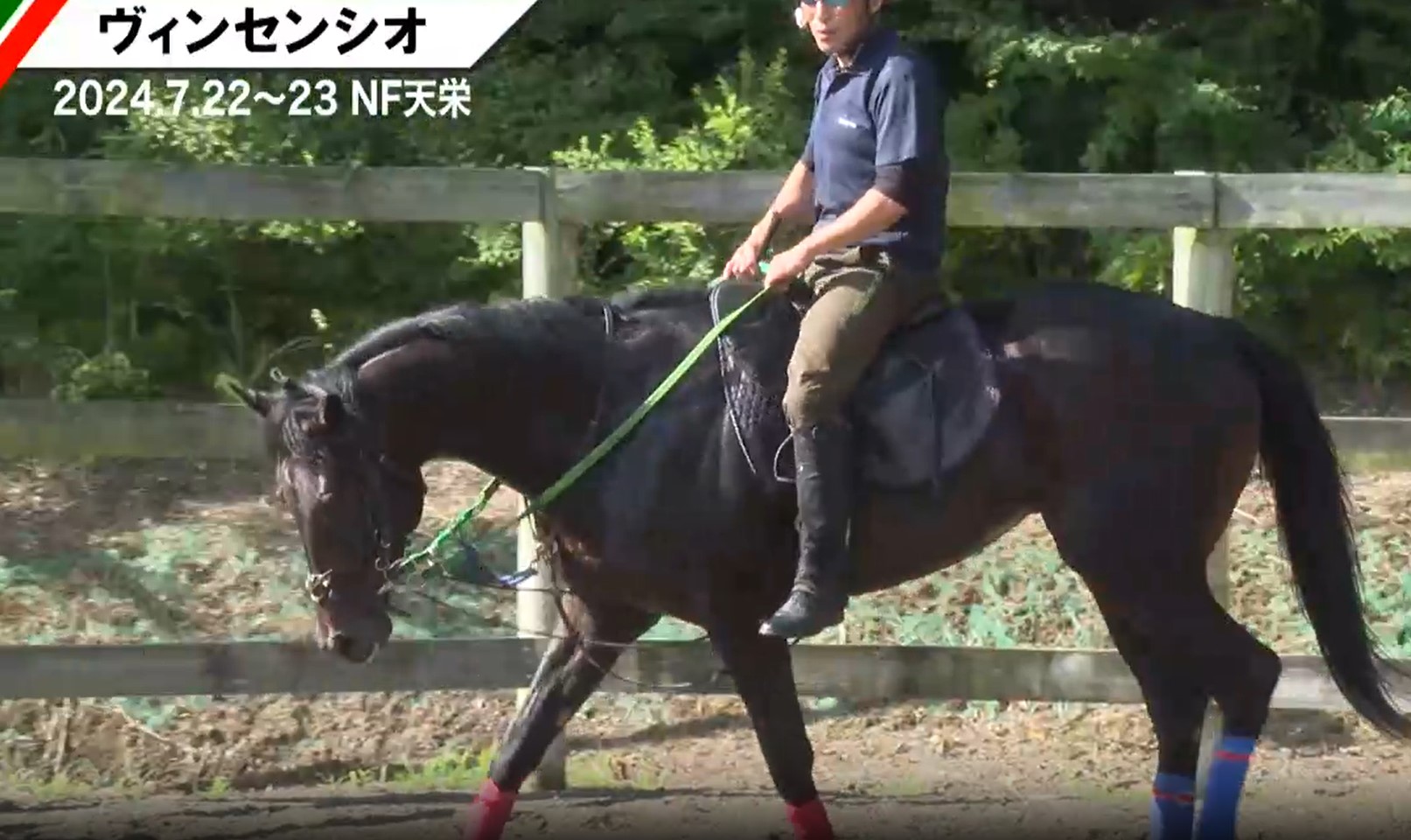 ヴィンセンシオ