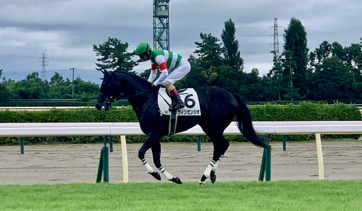 ヴィンセンシオ