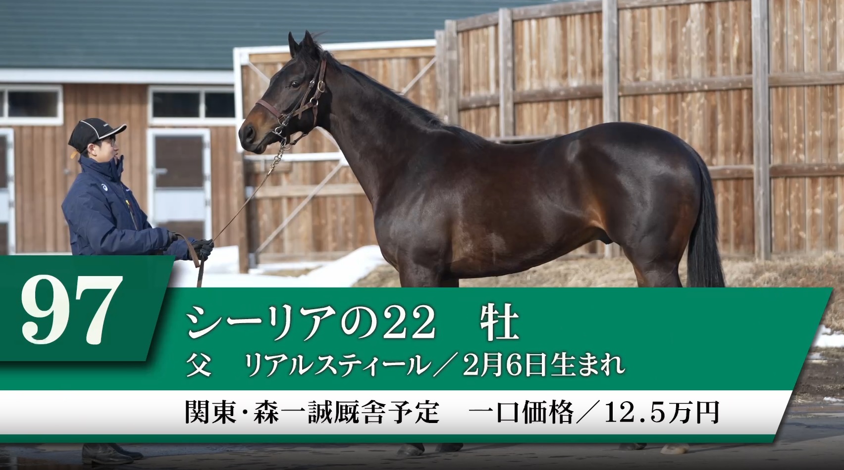 ヴィンセンシオ