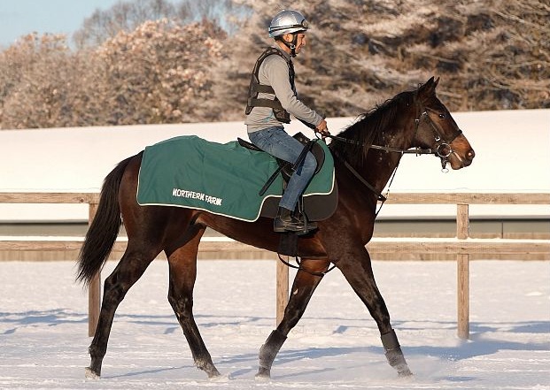 ラッキーダイムの2023