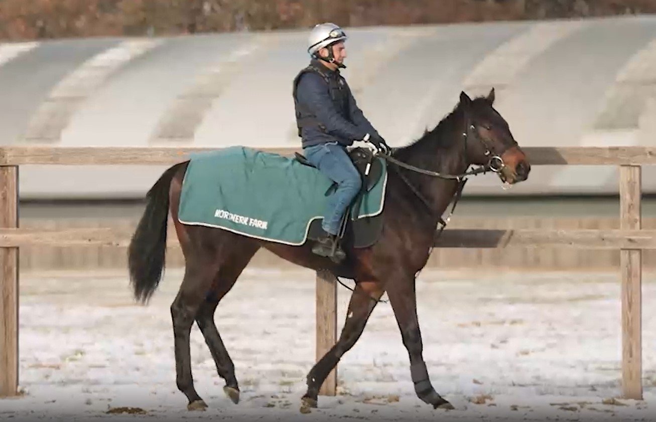 ラッキーダイムの2023