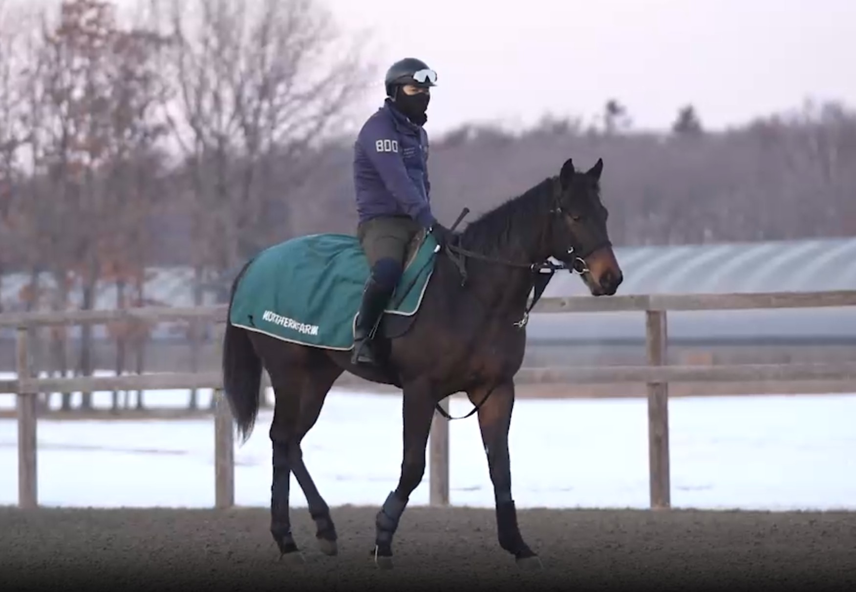 セントゴーデンス