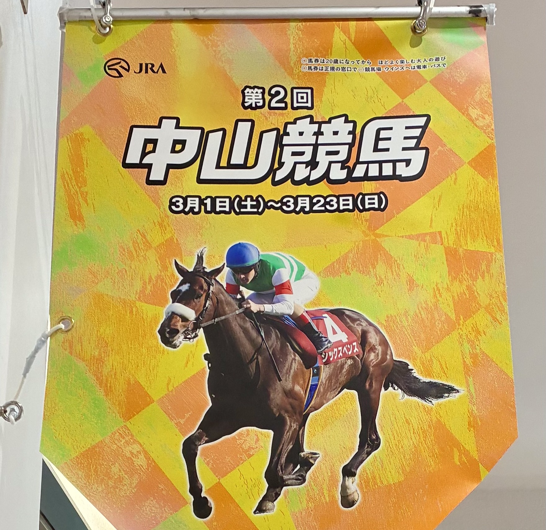 中山競馬