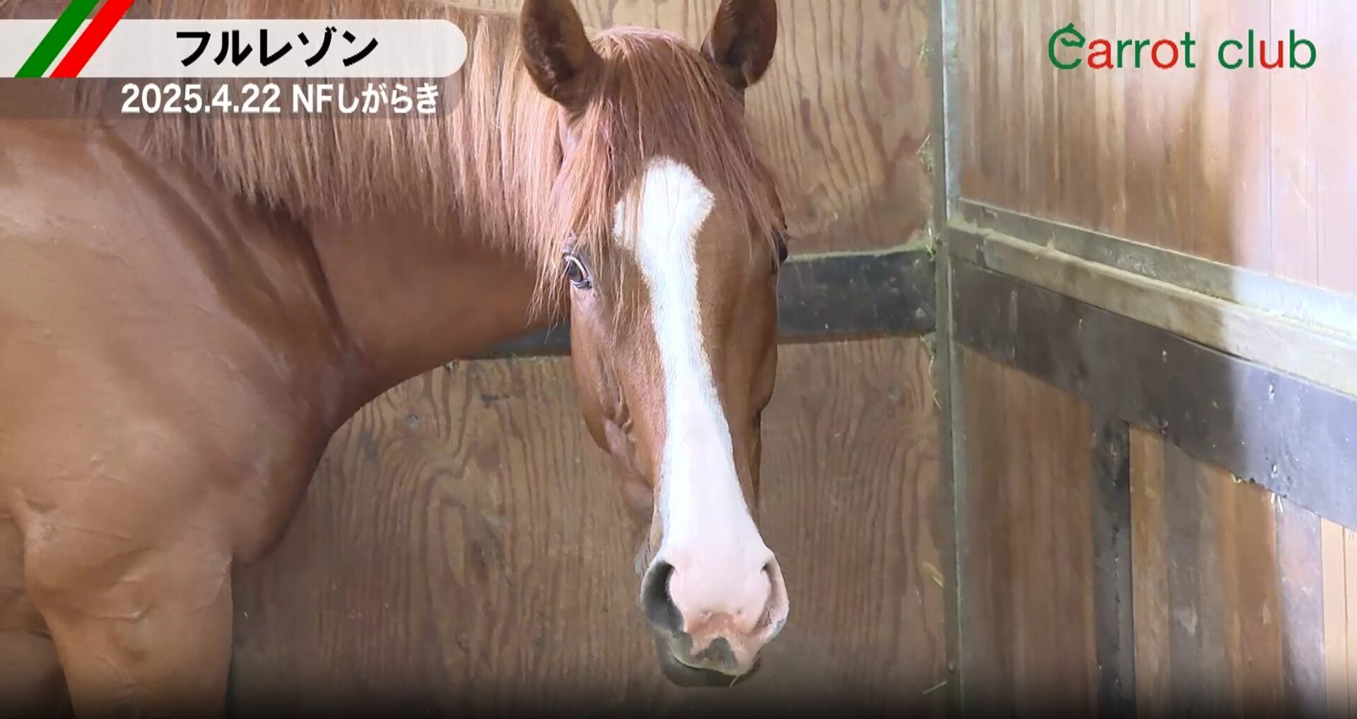 フルレゾン