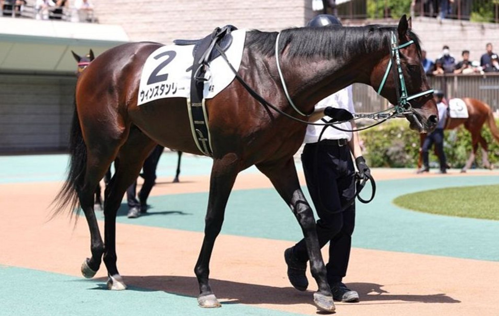 ウィンスタンリー