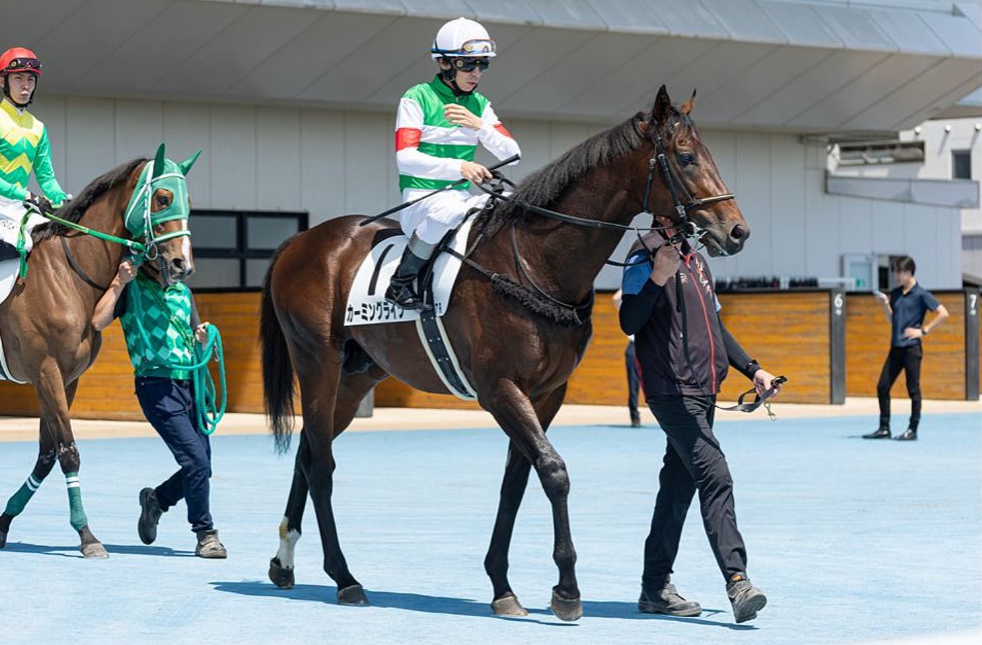 カーミングライツ