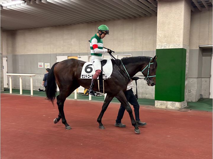 セントゴーデンス