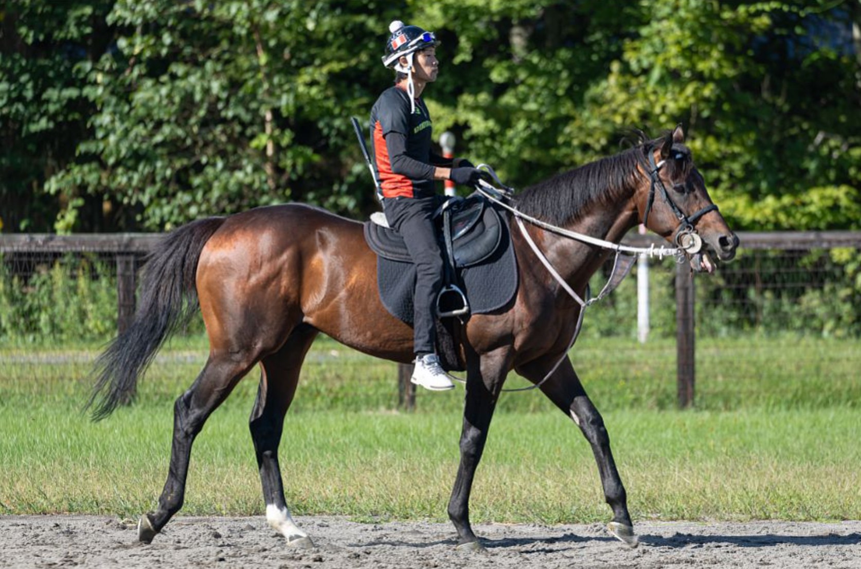 カーミングライツ