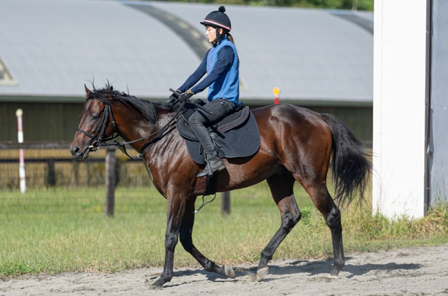 ウィンスタンリー